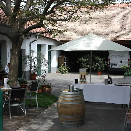 Oda ve Kahvaltı Weingut Familie Schuster Grossriedenthal