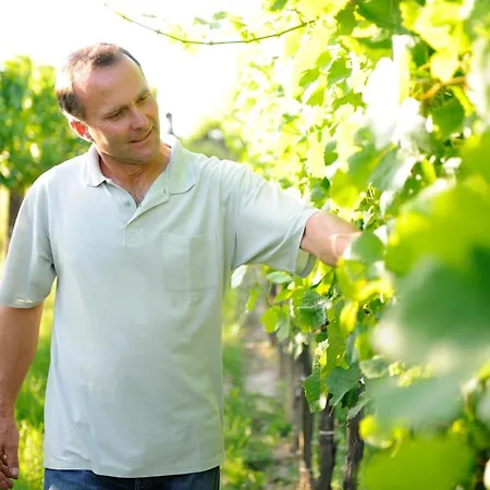 Weingut Familie Schuster Oda ve Kahvaltı