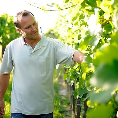 Weingut Familie Schuster Bed & Breakfast